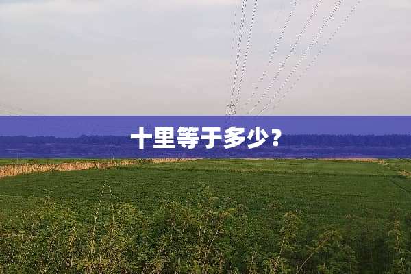 十里等于多少？