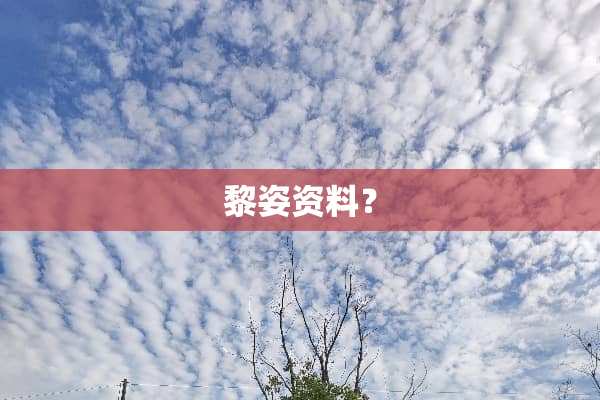 黎姿资料？