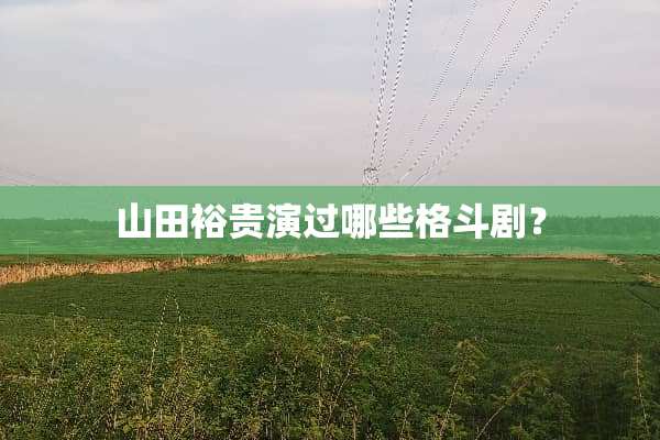 山田裕贵演过哪些格斗剧？