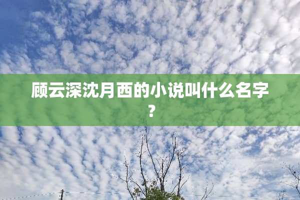 顾云深沈月西的小说叫什么名字？