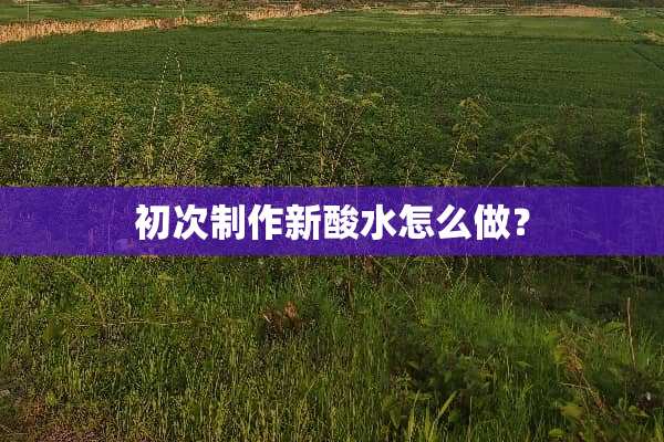 初次制作新酸水怎么做？