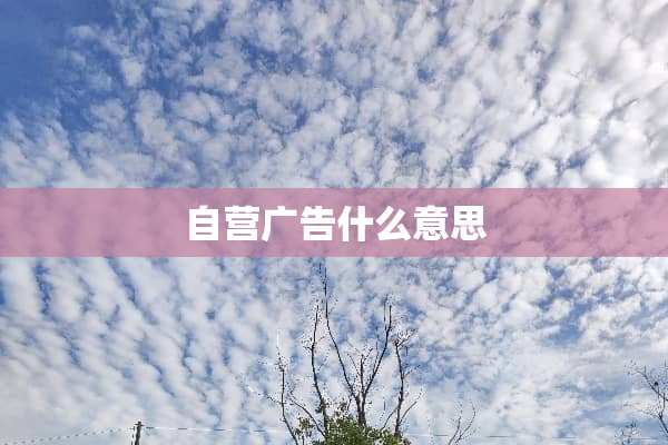 自营广告什么意思