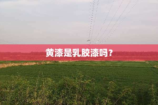 黄漆是*胶漆吗？