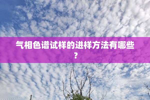 气相色谱试样的进样方法有哪些？