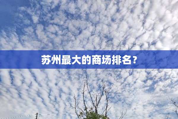 苏州最大的商场排名？
