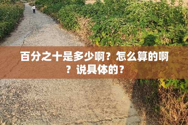 百分之十是多少啊？怎么算的啊？说具体的？