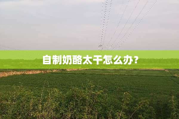 自制奶酪太干怎么办？