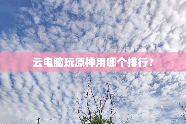 云电脑玩原神用哪个排行？
