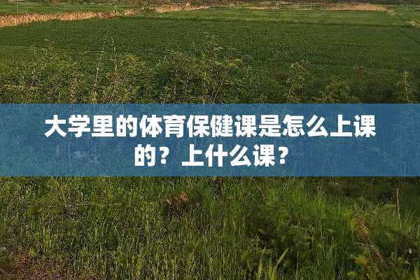 大学里的体育保健课是怎么上课的？上什么课？