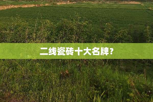 二线瓷砖十大名牌？