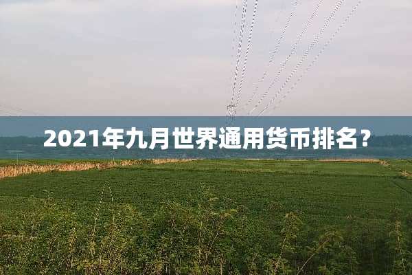 2021年九月***用货币排名？