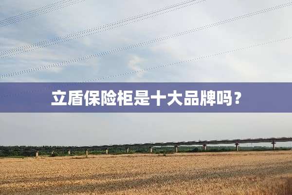 立盾保险柜是十大品牌吗？