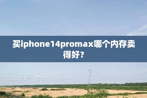 买iphone14promax哪个内存卖得好？