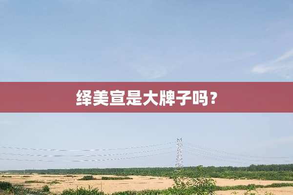 绎美宣是大牌子吗？
