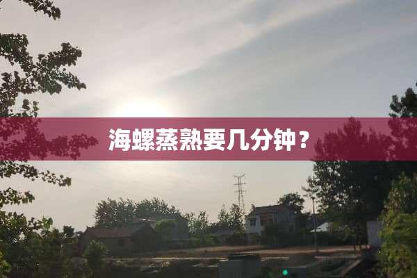 海螺蒸熟要几分钟？
