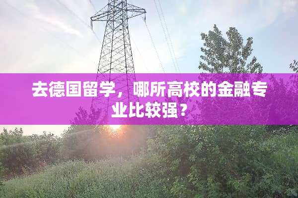 去德国留学，哪所高校的金融专业比较强？