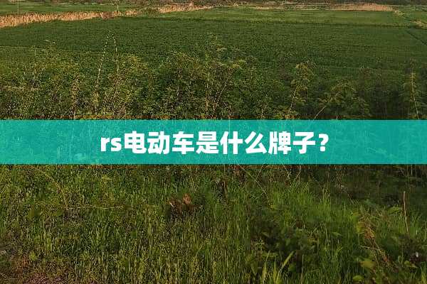 rs电动车是什么牌子？