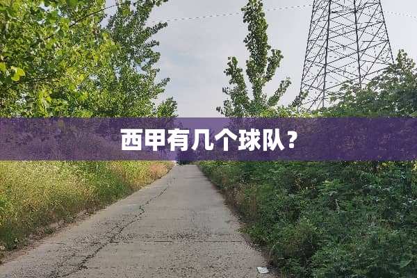 西甲有几个球队？