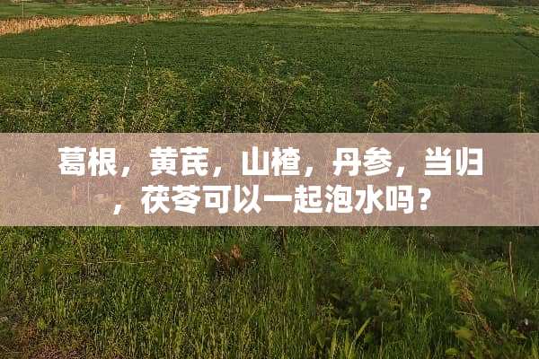 葛根，黄芪，山楂，丹参，当归，茯苓可以一起泡水吗？