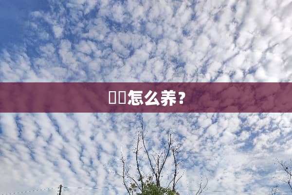 蠄蚷怎么养？