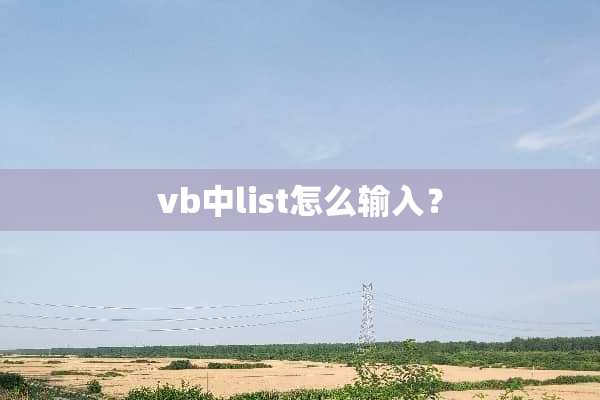 vb中list怎么输入？