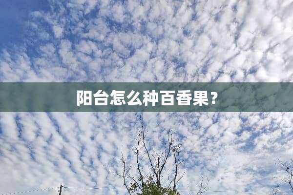 阳台怎么种百香果？