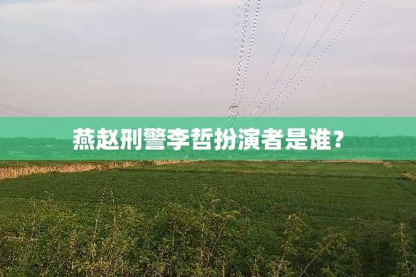 燕赵**李哲扮演者是谁？
