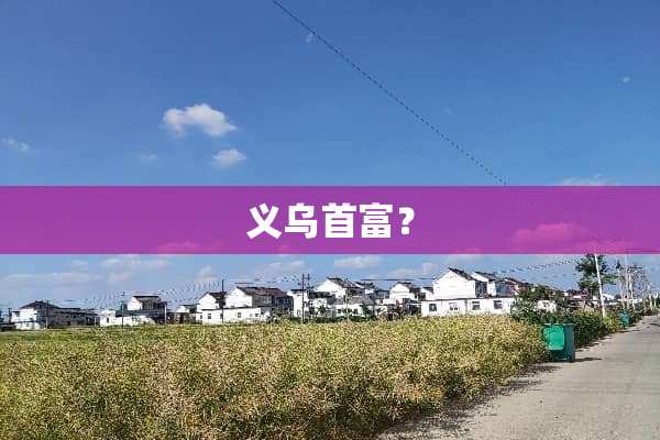 义乌首富？