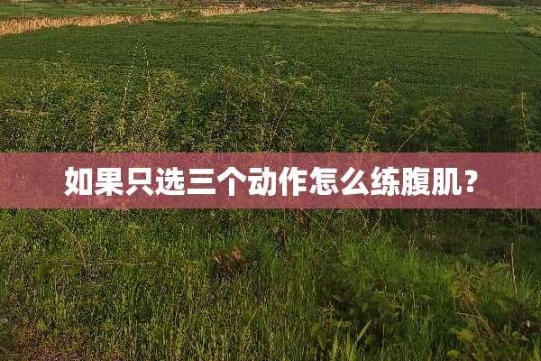 如果只选三个动作怎么练腹肌？