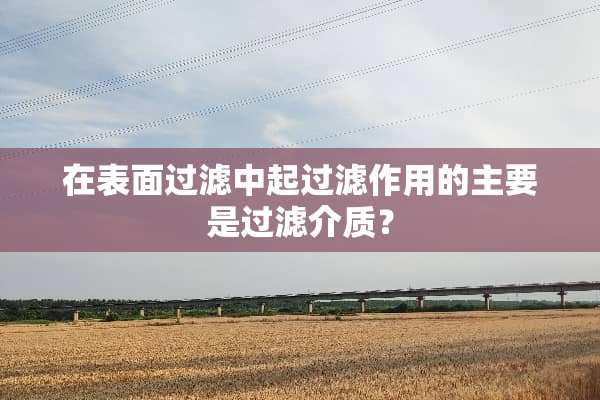 在表面过滤中起过滤作用的主要是过滤介质？