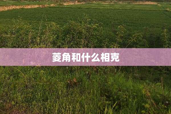 菱角和什么相克