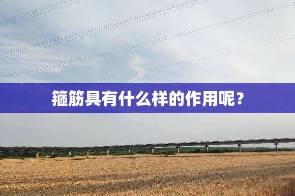箍筋具有什么样的作用呢？