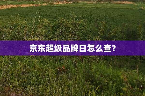 京东超级品牌日怎么查？