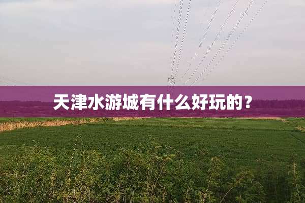 天津水游城有什么好玩的？