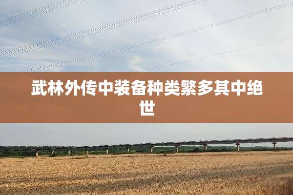武林外传中装备种类繁多其中绝世