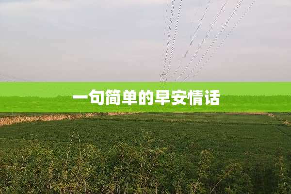 一句简单的早安情话