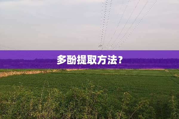 多酚提取方法？