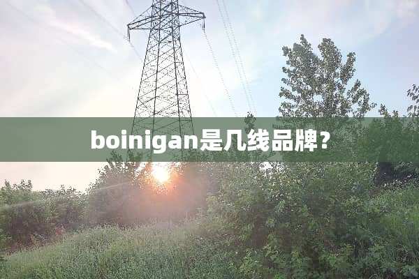 boinigan是几线品牌？