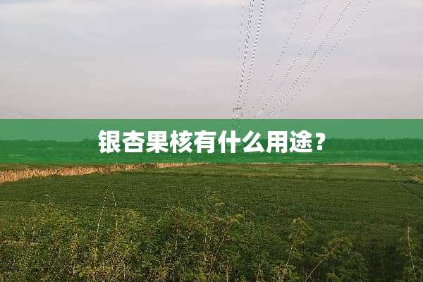 银杏果核有什么用途？