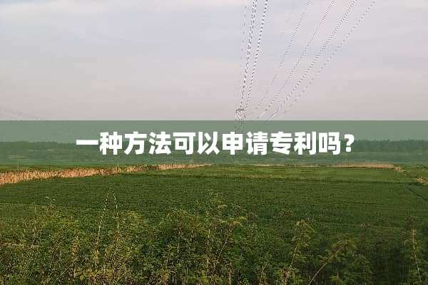 一种方法可以申请专利吗？