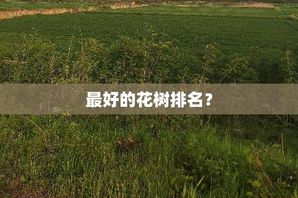 最好的花树排名？