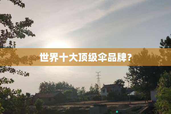 世界十大**伞品牌？
