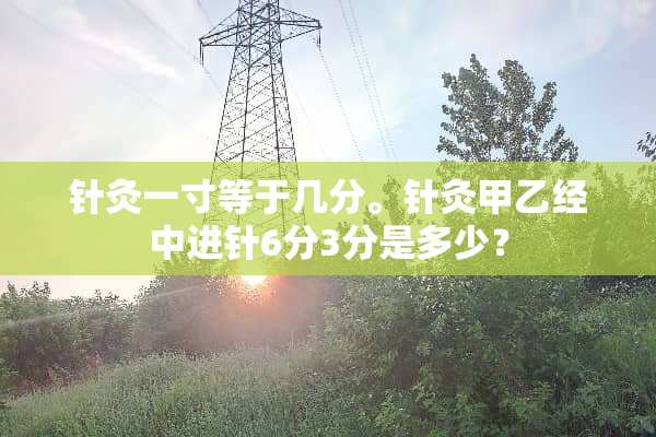 针灸一寸等于几分。针灸甲乙经中进针6分3分是多少？