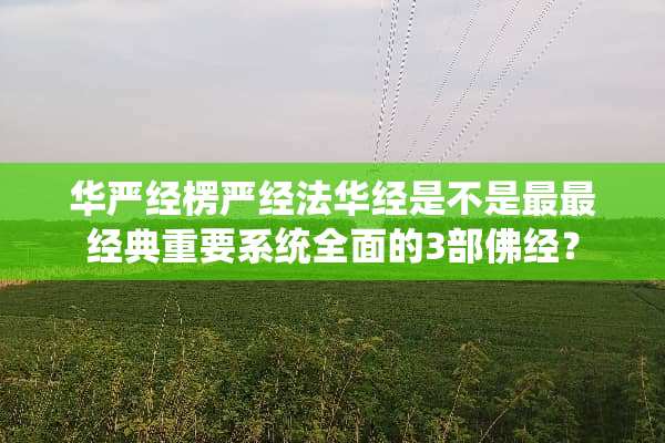 华严经楞严经法华经是不是最最经典重要系统全面的3部佛经？