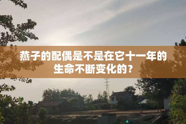 燕子的配偶是不是在它十一年的生命不断变化的？