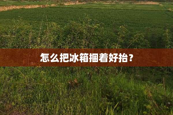 怎么把冰箱捆着好抬？