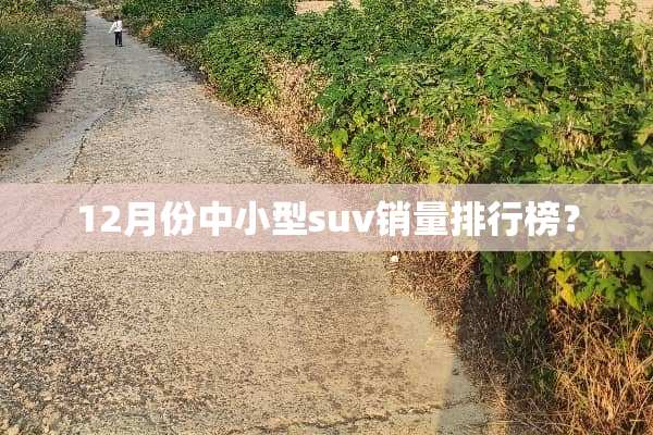 12月份中小型suv销量排行榜？