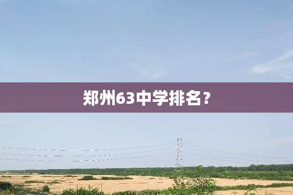 郑州63中学排名？
