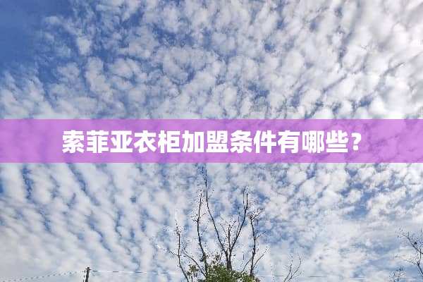 索菲亚衣柜加盟条件有哪些？