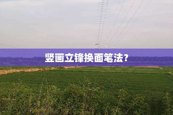 竖画立锋换面笔法？